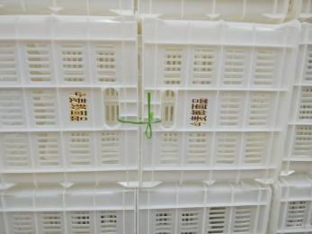 今麥郎、丹尼斯塑料筐